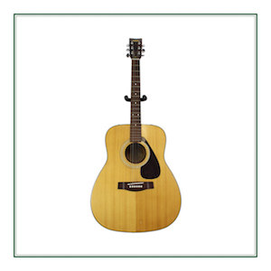 Acoustic Guitars